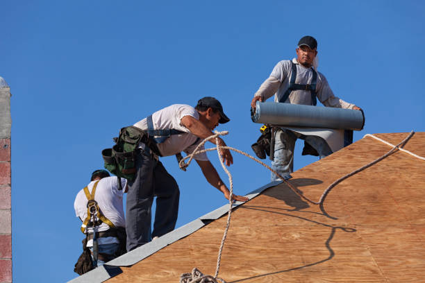Best Residential Roofing Contractor  in Vicksburg, MI